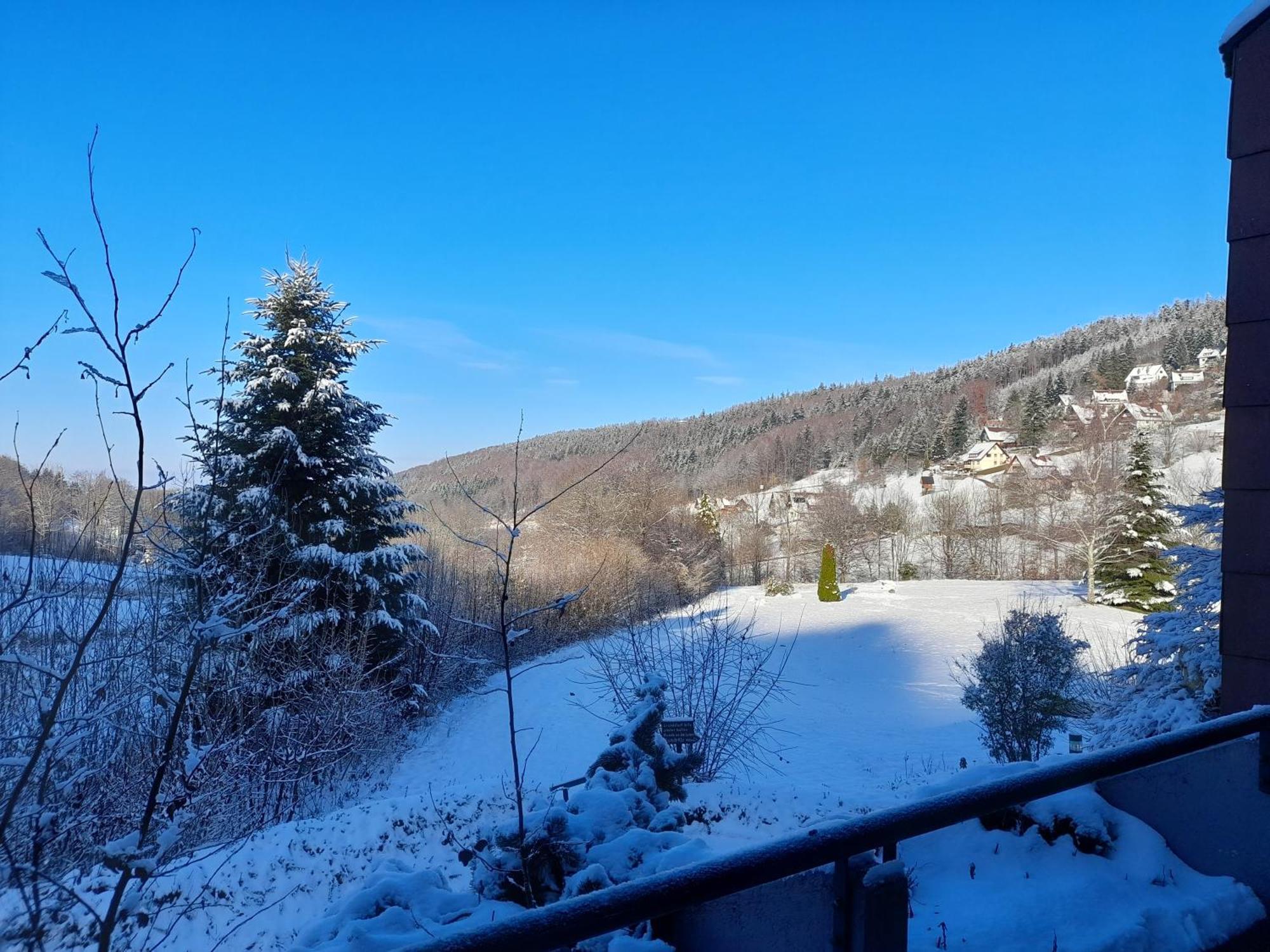 Appartement Schwarzwald Pur à Sasbachwalden Extérieur photo